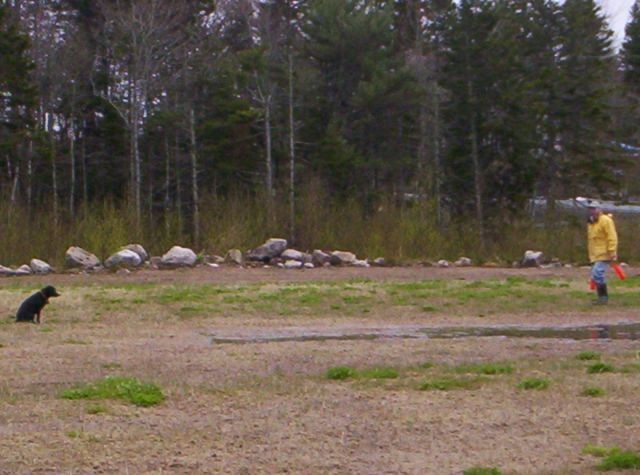 family pictures 027.jpg